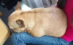 色一伦一情一区二区三区